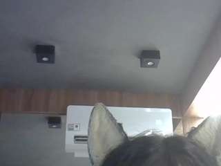 skinnykittencam webcam
