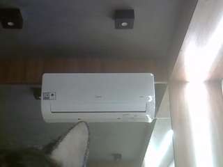 skinnykittencam webcam