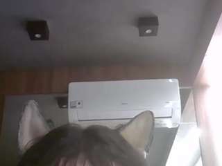 skinnykittencam