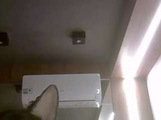 skinnykittencam webcam
