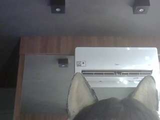 skinnykittencam webcam