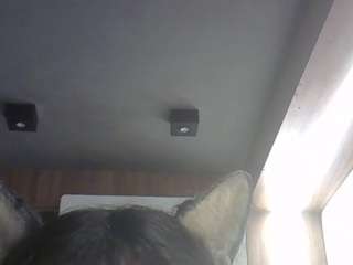 skinnykittencam webcam