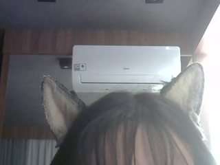 SkinnyKittenCam