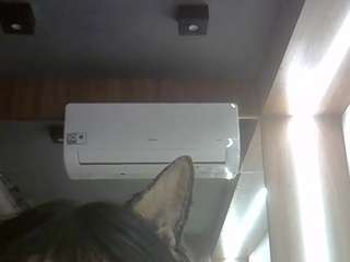 skinnykittencam webcam