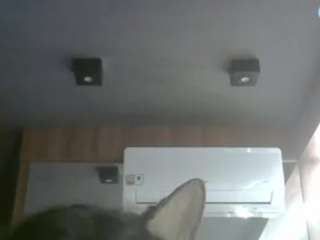 SkinnyKittenCam