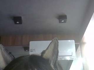 skinnykittencam webcam