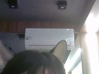 skinnykittencam webcam