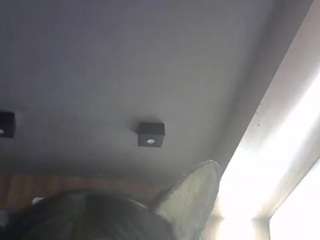 skinnykittencam webcam