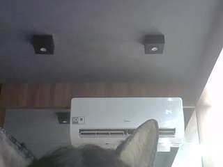 skinnykittencam webcam
