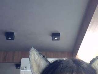 skinnykittencam live cam profile