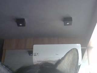 SkinnyKittenCam