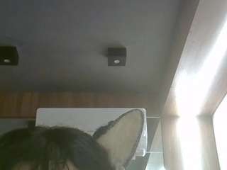 SkinnyKittenCam