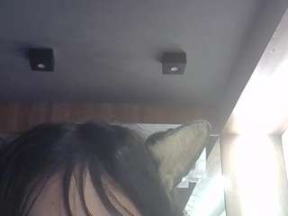 skinnykittencam Brown live webcam