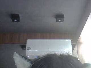 skinnykittencam webcam