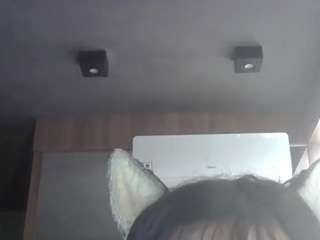 SkinnyKittenCam