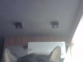 SkinnyKittenCam