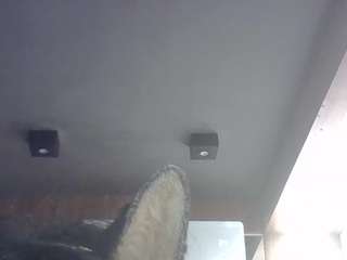 skinnykittencam's CamSoda show and profile