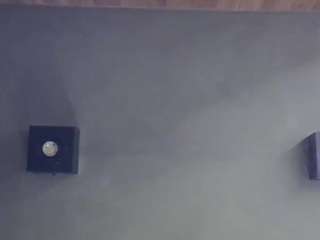 skinnykittencam webcam