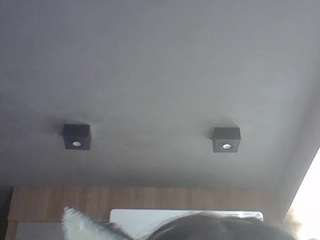 skinnykittencam