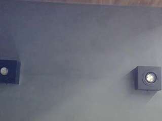 skinnykittencam webcam