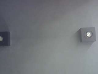 skinnykittencam webcam