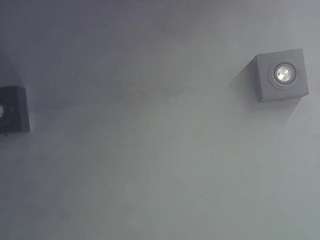 skinnykittencam webcam