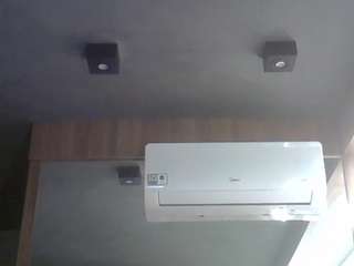 skinnykittencam webcam