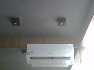 skinnykittencam webcam