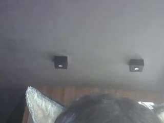 skinnykittencam webcam