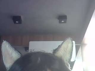 SkinnyKittenCam