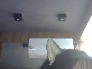 SkinnyKittenCam