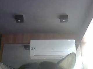 skinnykittencam