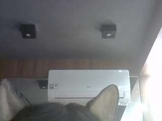 SkinnyKittenCam