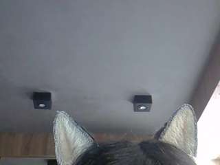이 모델은 현재 라이브 중입니다. skinnykittencam