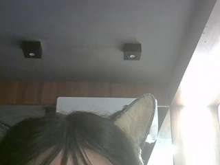 skinnykittencam