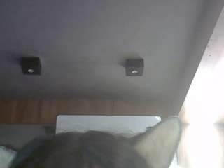SkinnyKittenCam