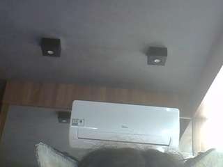 skinnykittencam