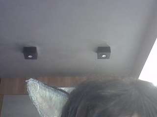 SkinnyKittenCam