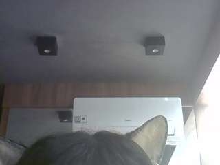 skinnykittencam