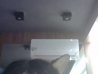 SkinnyKittenCam
