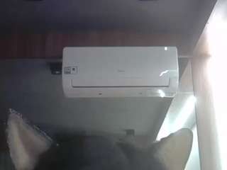 skinnykittencam
