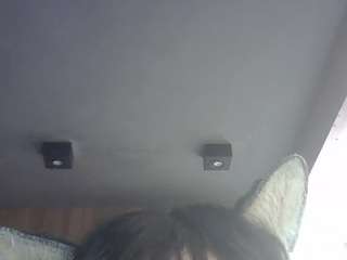 SkinnyKittenCam