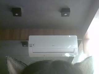 SkinnyKittenCam