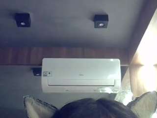 skinnykittencam
