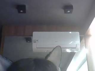 skinnykittencam