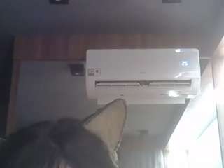 skinnykittencam