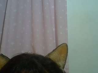 skinnykittencam