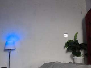 dolly360 webcam