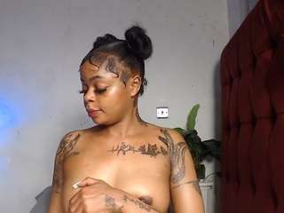 dolly360