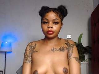 dolly360